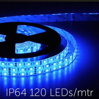 Flexible LED Strip 5050 Blue 120leds/mtr IP64