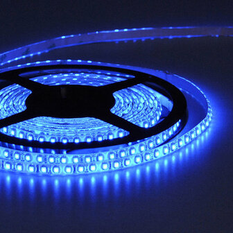 Flexible LED Strip 3528 Blue 120LEDs/mtr IP64