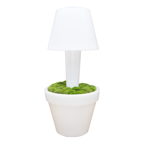 LED Vase Round with lamp