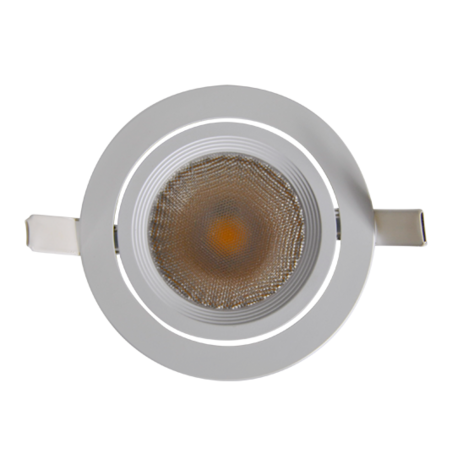 Adjustable downlight 20W Warm White 40deg 220-240AC Dimmable