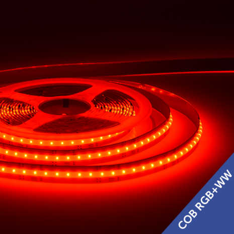 COB LED Strip 560 LED's/meter RGB+WW IP20