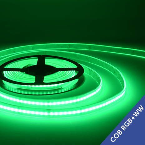 COB LED Strip 560 LED's/meter RGB+WW IP65