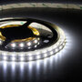 Flexible-LED-Strip-5630-CoolWhite-6000K-60leds-mtr-IP20-12VDC