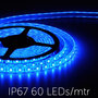 Flexible-LED-Strip-5050-Blue-60leds-mtr-IP67